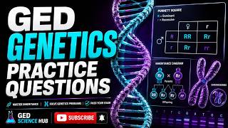 GED Genetics Practice Questions | Punnett Squares, DNA & Inheritance Explained