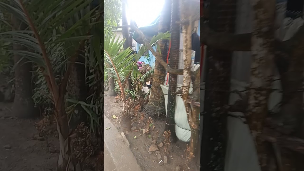 Hanapbuhay khit masama Ang panahon at pakiramdam mga beshie😊