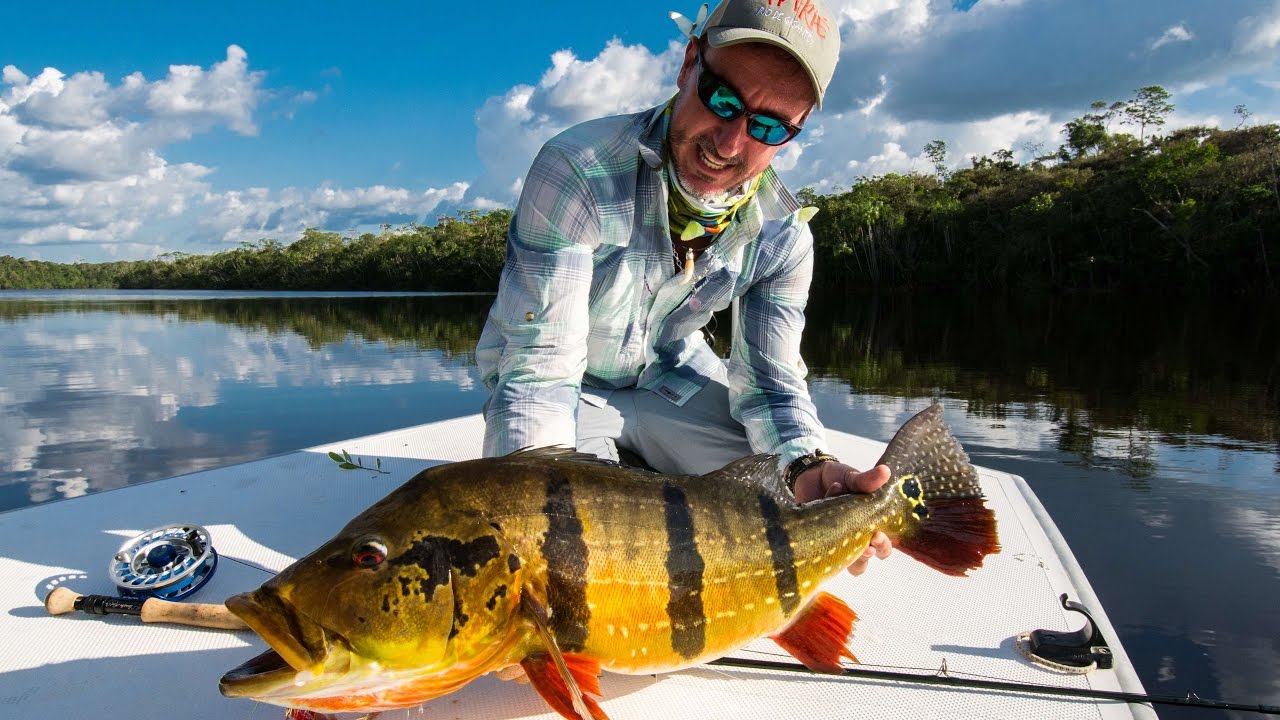 RIO MARIÉ The ultimate peacock bass fly fishing experience in Amazon
