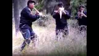 Video thumbnail of "CANTO NUEVO BOLIVIA - DIOS SUPREMO"