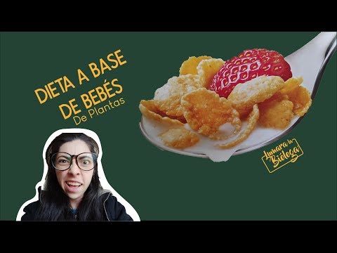 Bebés comestibles: las semillas.