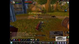 WoW Private server ( Weapon stack )