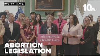 Gov. Healey signs law to expand protections for abortion patients, providers