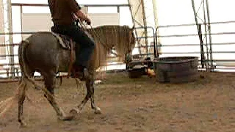 Ed Tice Riding Smokey