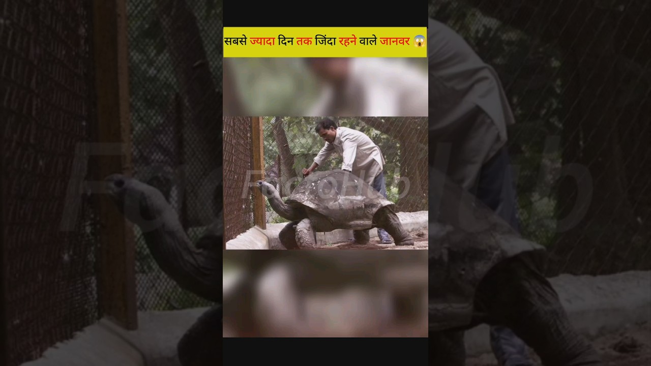 सबसे ज्यादा दिन तक जिंदा रहने वाले जानवर 😱😱 (Part-1)| FactoHub