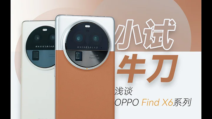 “花生”浅谈Find X6/Pro：这才是Find X2的正统续作，不过是小试牛刀 - 天天要闻