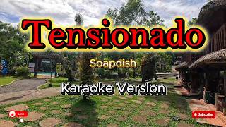 Tensionado (Soapdish) - karaoke