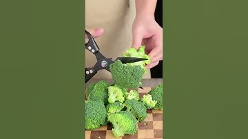 🔪 High Quality Multifunctional Kitchen Scissors|Chicken Bone Cutter,Fish Scale Scraper&Bottle Opener