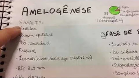 Quais são as fases do processo de amelogênese?