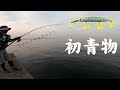 【最強ルアー】セットアッパーで初めて青物が釣れた日【ショアジギング】
