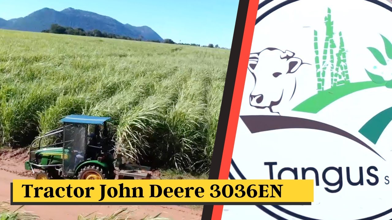 Agro Ganadera Tangus SRL. adquirió un tractor John Deere 3036 en Kurosu & Cia.