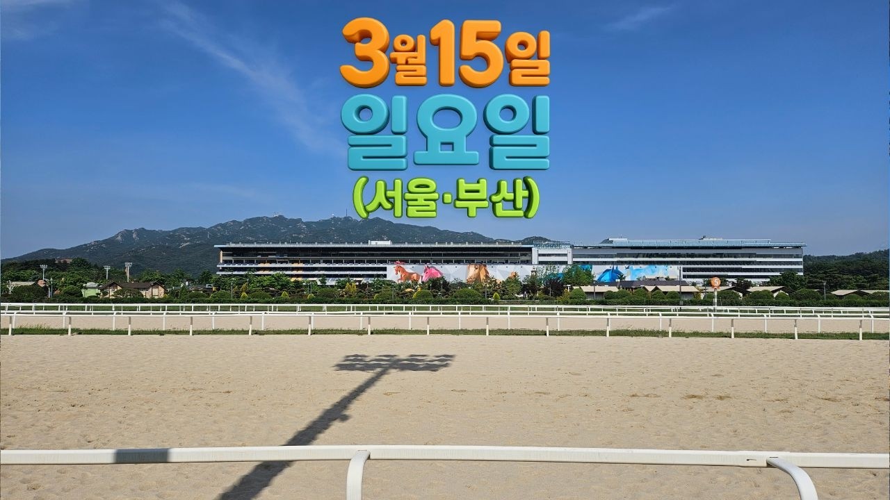 [ 2026년 3월 15일 일요(서울.부산)경마~!]