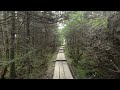 Vermont's Long Trail In 3D!  Virtual Reality Mountain Peak Experience!! VR180 3D UHD Video