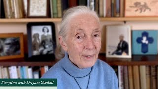Lion Family read by Dr. Jane Goodall