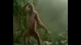 Bila sebut pasai raya...