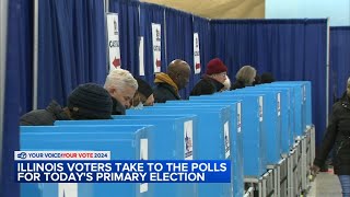 Voters head to polls on Election Day for 2024 Illinois Primary
