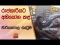 රාජකාරියට|sin