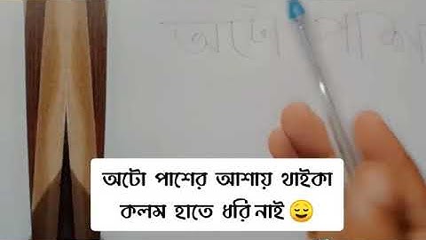 Assignment funny vedio tiktok