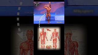 Famous Died 😫 Andreas Munzer #shorts Net Worth