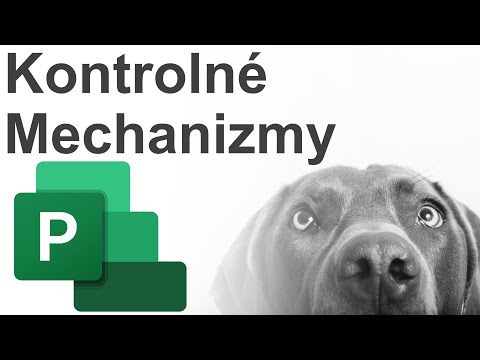 Online Kurz Microsoft Project - Aké máme kontrolné mechanizmy a čo je to (Watchdog Strážny Pes)? 🐶