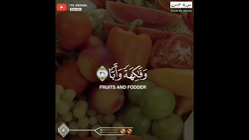 حالات واتس اب القران/ طارق محمد/سورة عبس {فَلْيَنظُرِ الْإِنسَانُ إِلَىٰ طَعَامِهِ}