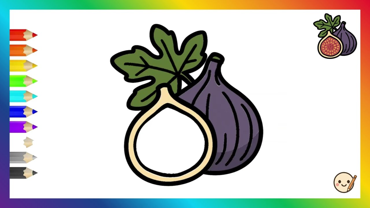 How To Draw Fig Fruit In Simple Cartoon Outline Style