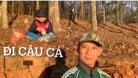 HAI CHA CON ĐI CÂU CÁ