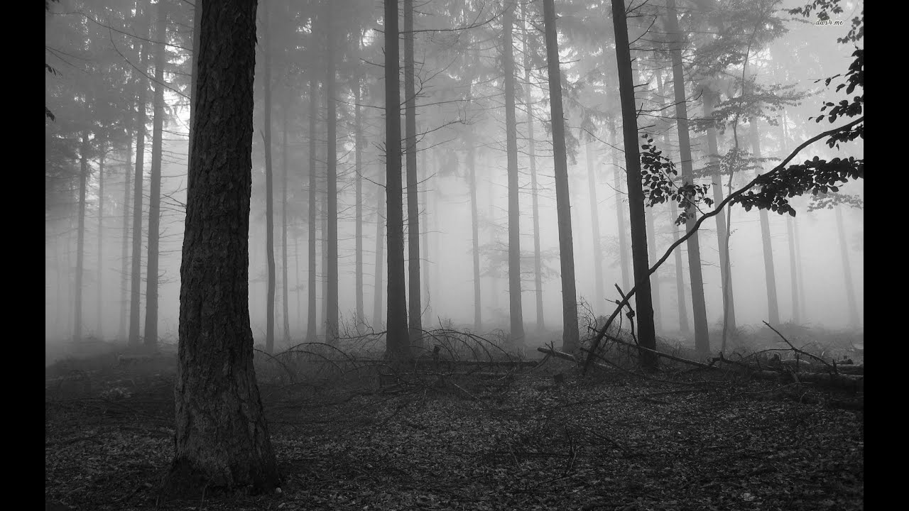 goreshit - benzo 571pp