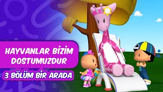 Pepee - Hayvanlar Bizim Dostumuzdur Leliko Ve Pisi İle 3 Bölüm Bir Arada Düşyeri