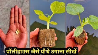 घर पर पॉलीहाउस वालों की तरह बीज उगाएं  || How to grow Vegetables seed