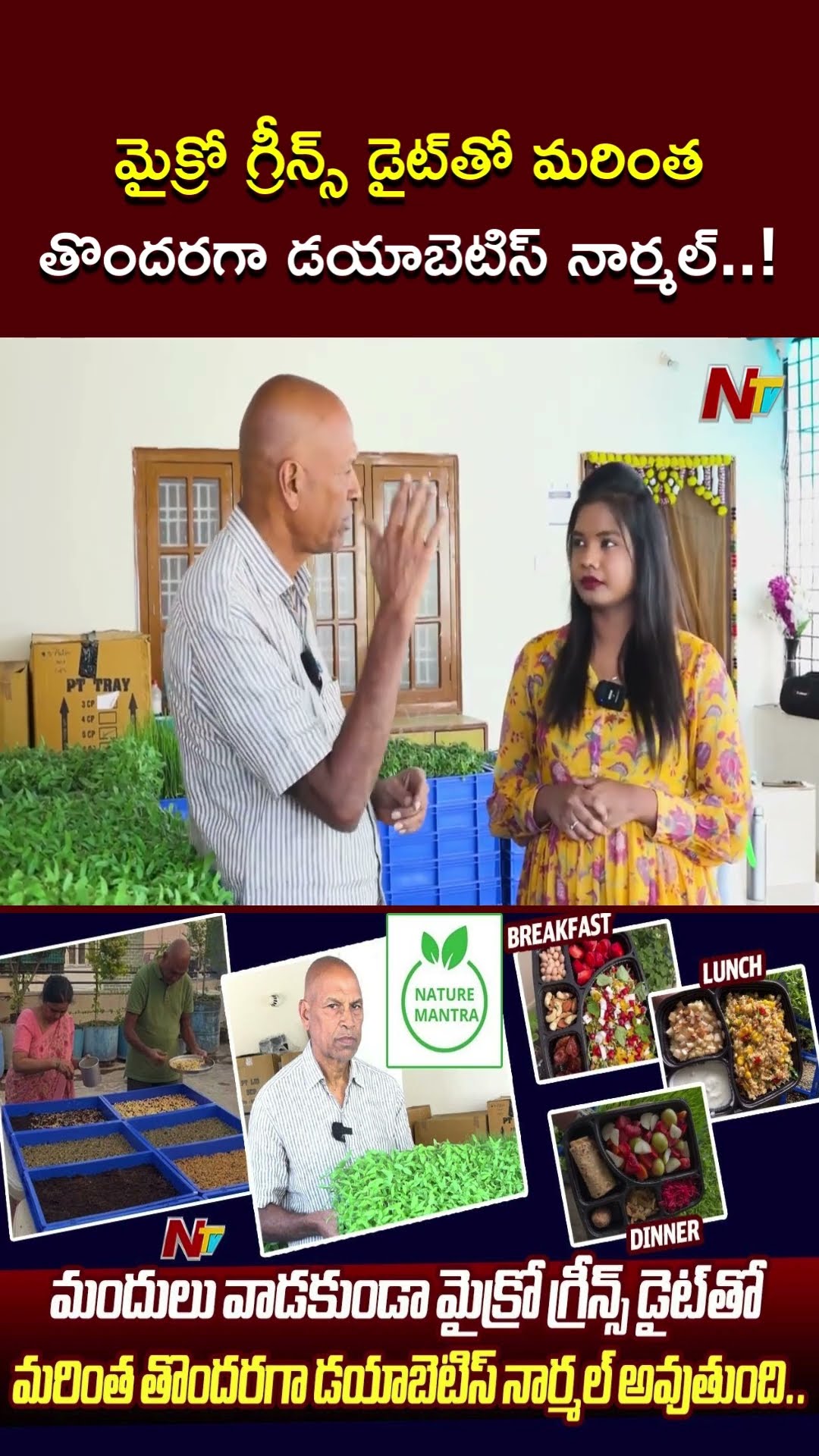 మైక్రో గ్రీన్స్ డైట్⁬తో మరింత తొందరగా డయాబెటిస్ నార్మల్..! | Nature Mantra | Ntv