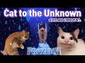 겨울왕국2 Into The Unknown 고양이 리믹스 (Frozen 2 OST Cat Cover) 숨겨진 세상