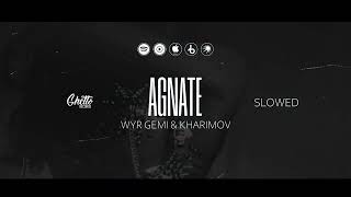 WYR GEMI & Kharimov - Agnate (Slowed)