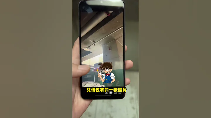 后续来了，边牧把大学生带出去扔了，你们说这🐶是不是故意的……#大学生真的来帮人遛狗了  #抖音本地流量来了 #抖音 - 天天要闻