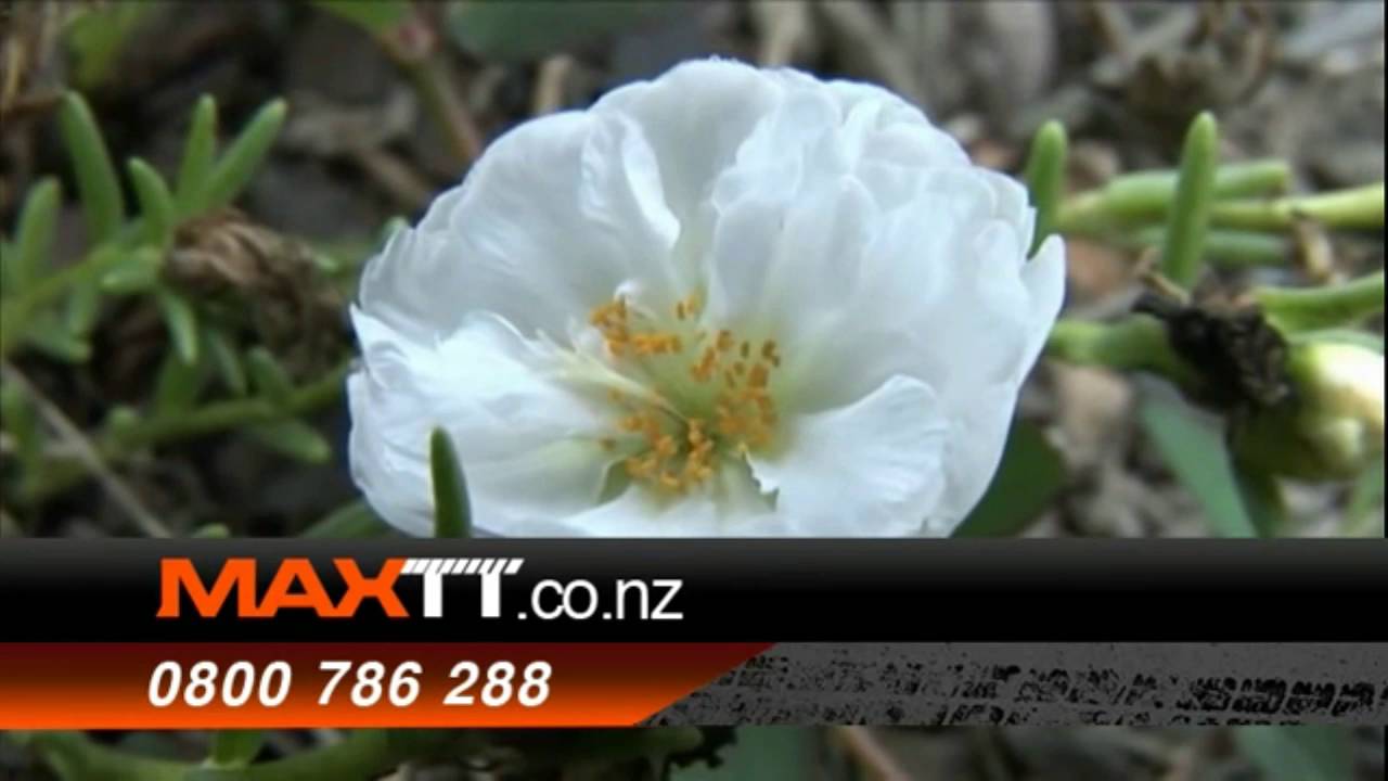 Maxtt Tyre Sealant with Puncture Proof Technology