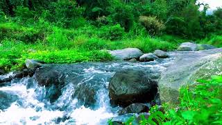 Tranquil Crystal River for Emotional Balance and Improves Concentration