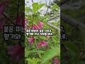 넓은 마음, /조용한 진실로 흐르다#짧은시 #포용 #자기돌아보기 #사색