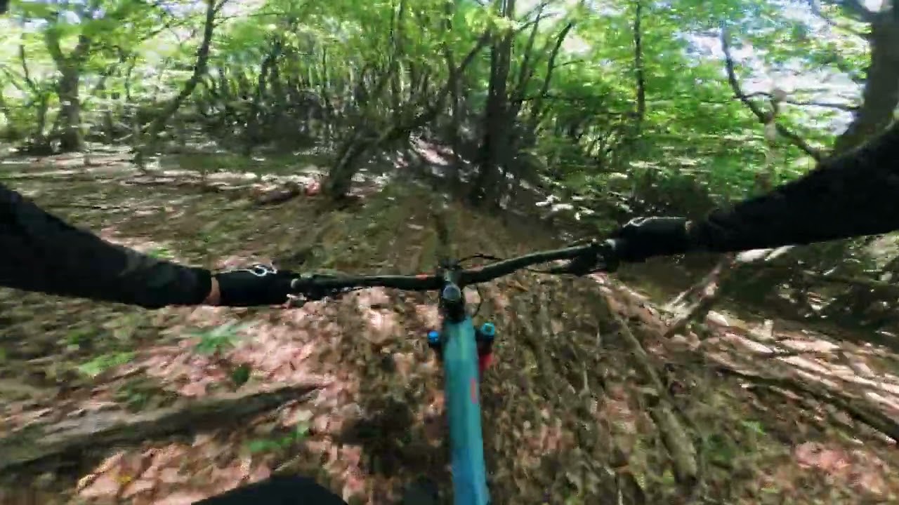 Deep Forest  - Nova MTB staza u Bike Park Evolution!