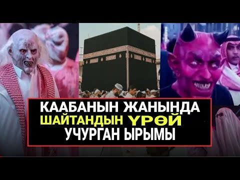 Video: Аргентинанын саздарындагы сырдуу арал