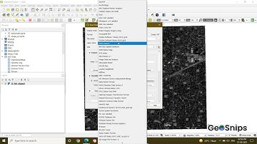#5 QGIS Raster Conversion To Other Formats