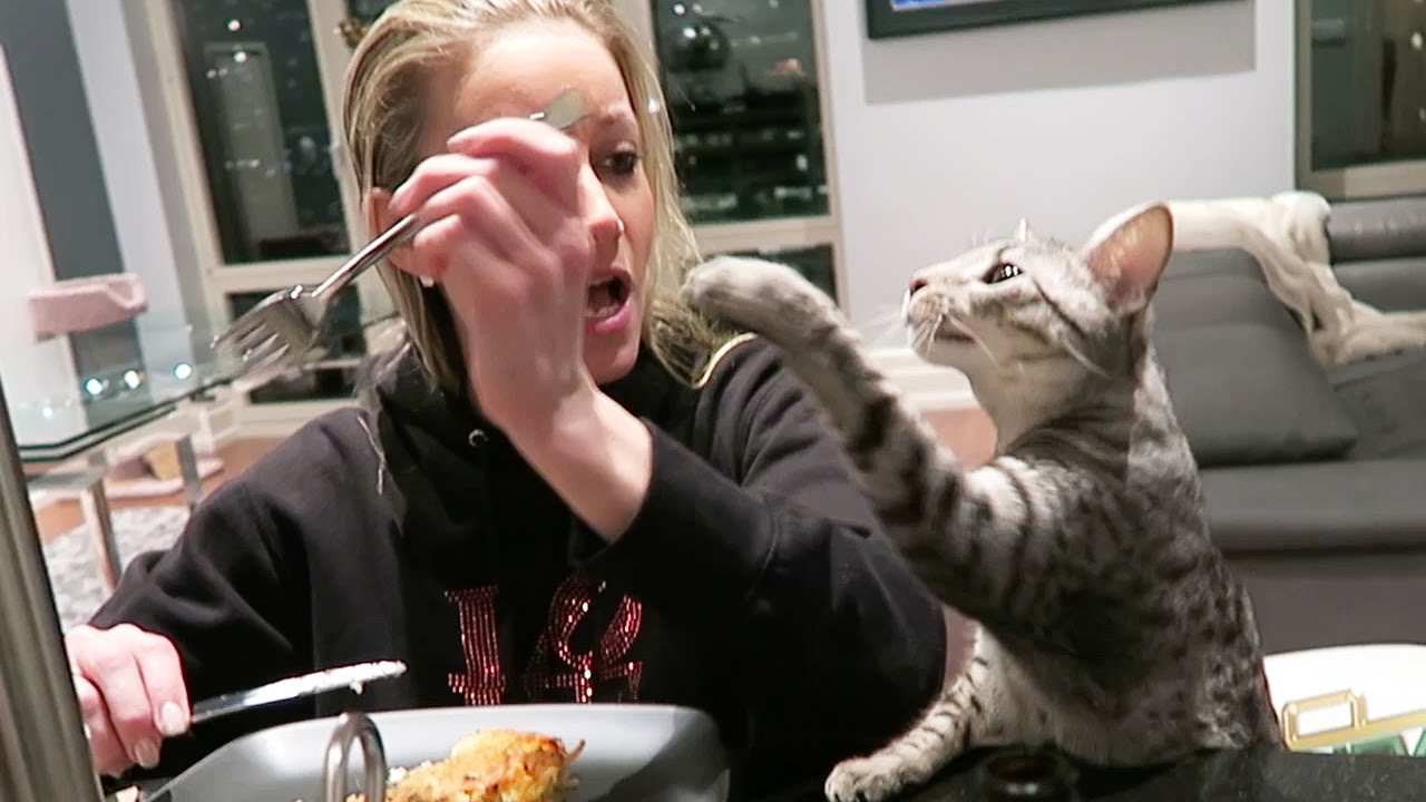 Phillychic5