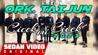 ☆ORK. TAYJUN ❌ SAMET PORTOCALA - CICEK MI CICEK 🏆 HIT 2023 [LIVE] Resimi