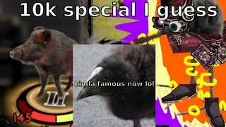 Questions, Photoshop, and Hogs (10k special lol)