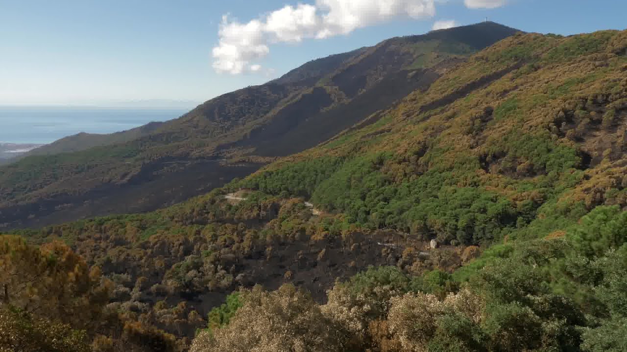 SIERRA BERMEJA (LA RECUPERACIÓN DEL ENTORNO NATURAL)