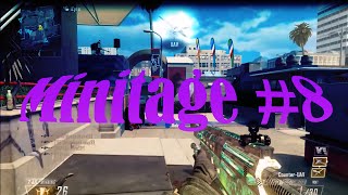 Minitage #8
