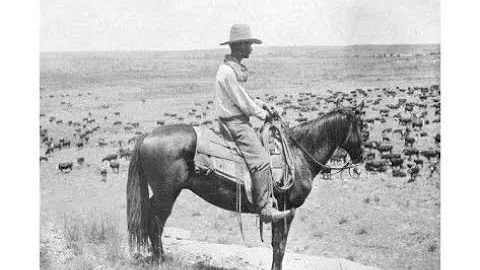 The End of the Cattle Drive (Jerry Skinner Documen...