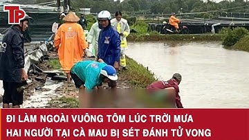 Đi làm ngoài vuông tôm lúc trời mưa, hai người tại Cà Mau bị sét đánh tử vong