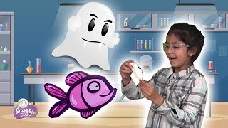 Top 10 Science Experiments you can do at home for kids with SugarCube ToysReview! 2 screenshot 3