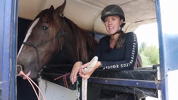 How to teach your horse to load in a trailer/float - stand and wait in patiently