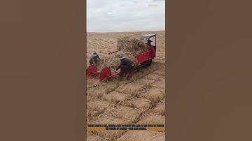 igh - Efficiency Machine - Aided Sand Control | Desertification Combat